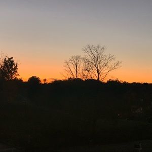 Meet your Posher, Galit